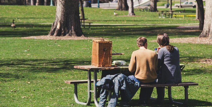 Image of a couple sitting on bench with picnic basket - one day picnic place near Ahmedabad