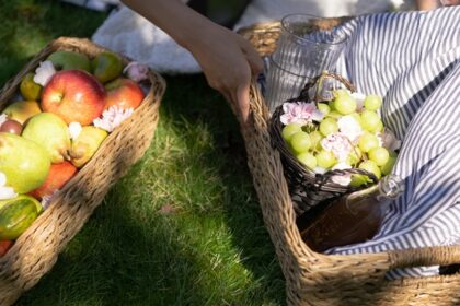 Image of baskets with fruits and other food for picnic - picnic places in Gujarat