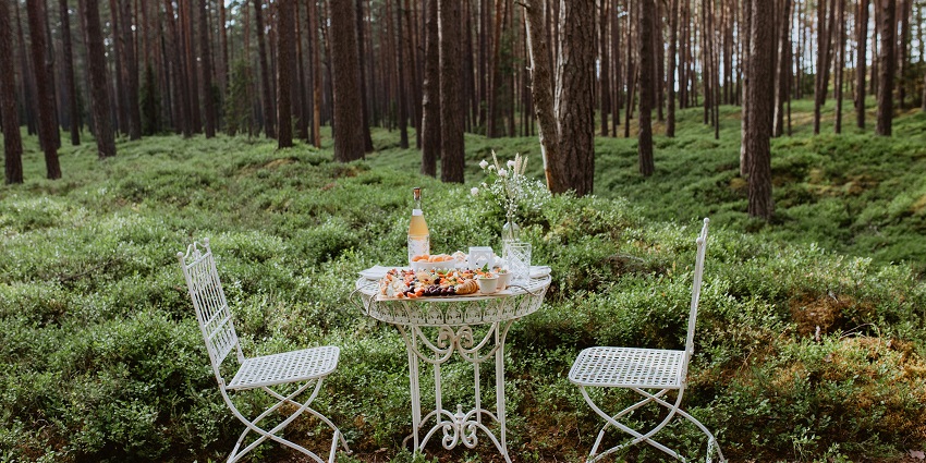 Although in a designated region, picnicking allows you to immerse yourself in nature.