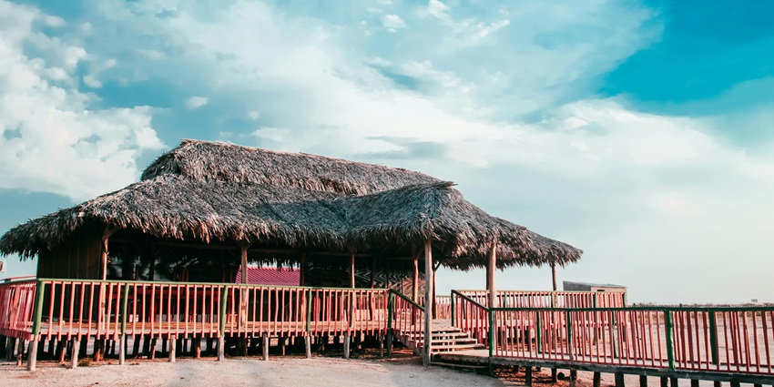 Pine Tree Beach Shack is one of the popular places to visit in Calangute at night.