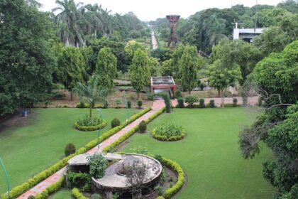 Scenic view of a lush green landscape near Vadodara - places near Vadodara for weekend