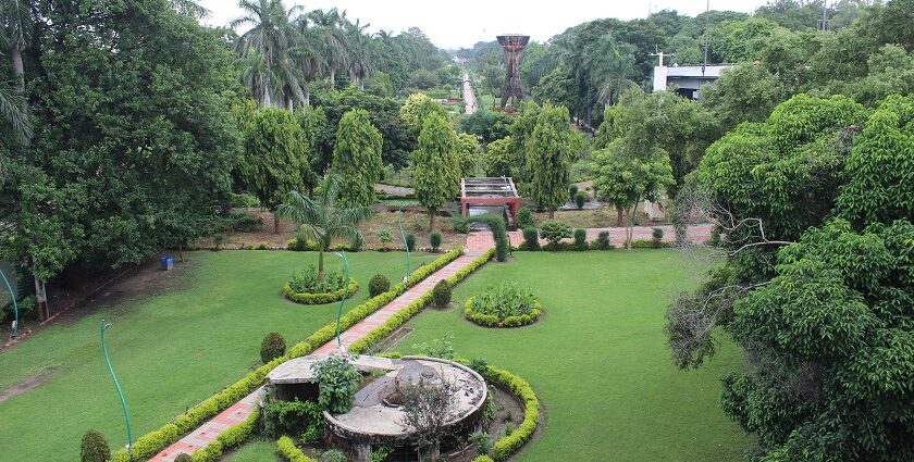 Scenic view of a lush green landscape near Vadodara - places near Vadodara for weekend