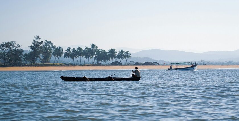 A view of the glistening waters of Goa decked with boats against a picturesque backdrop.