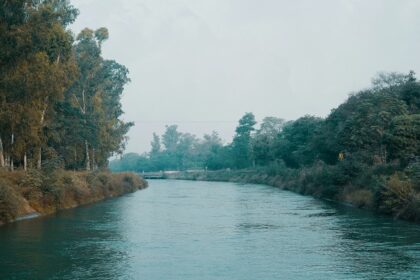 A breathtaking view of a sparkling lake surrounded by lush greenery during the day.