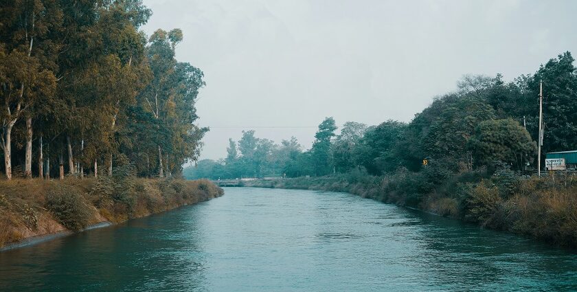 A breathtaking view of a sparkling lake surrounded by lush greenery during the day.