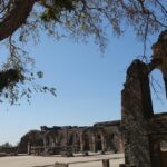 A large tree in front of a Mandu Fort, and one of the best places to visit in Mandu.