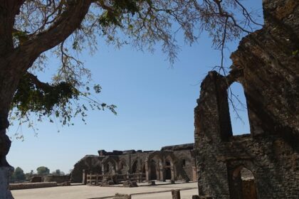 A large tree in front of a Mandu Fort, and one of the best places to visit in Mandu.