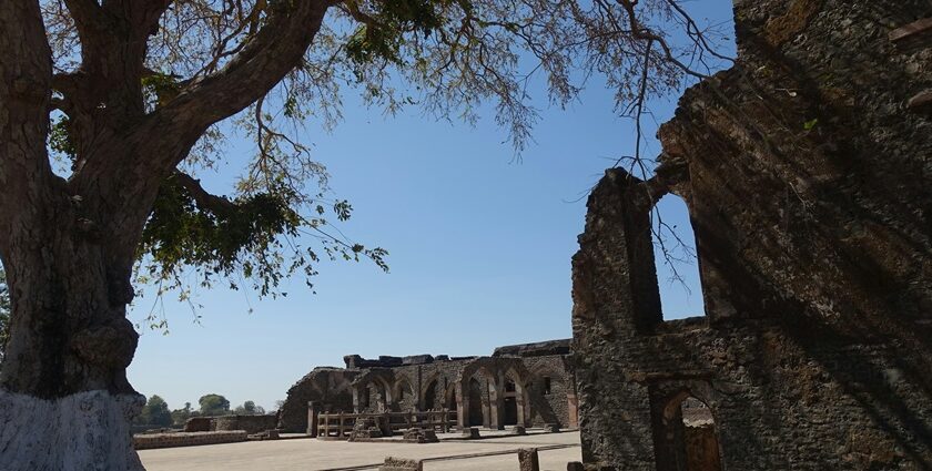 A large tree in front of a Mandu Fort, and one of the best places to visit in Mandu.