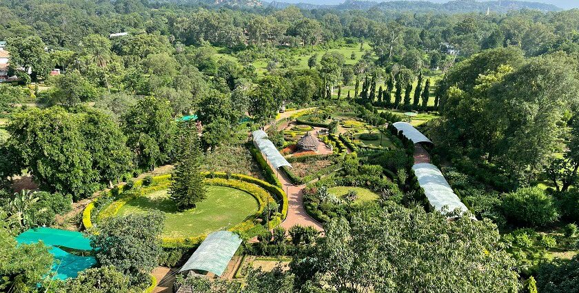 An image showing a scenic view of Pachmarhi's lush hills and serene landscapes.