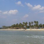 There are numerous places to visit in South Goa with family for fun and relaxation.