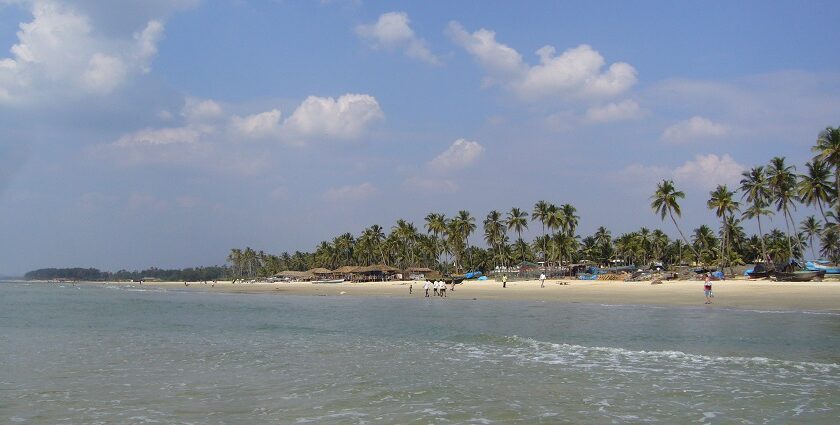 There are numerous places to visit in South Goa with family for fun and relaxation.