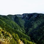 View of a Group of lush green mountains during the daytime in Ratlam, Madhya Pradesh.