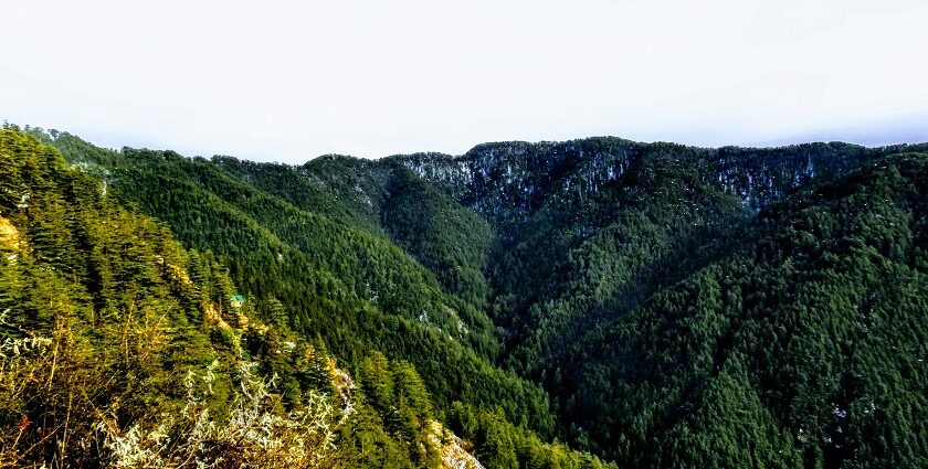 View of a Group of lush green mountains during the daytime in Ratlam, Madhya Pradesh.