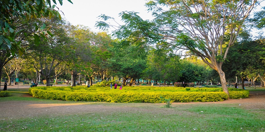 Beautiful view of the park, an ideal spot for family and friends to plan a picnic