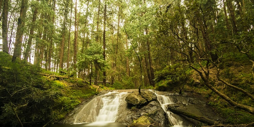 Exploring Polluru Waterfalls is one of the most fascinating things to do in Maredumilli.