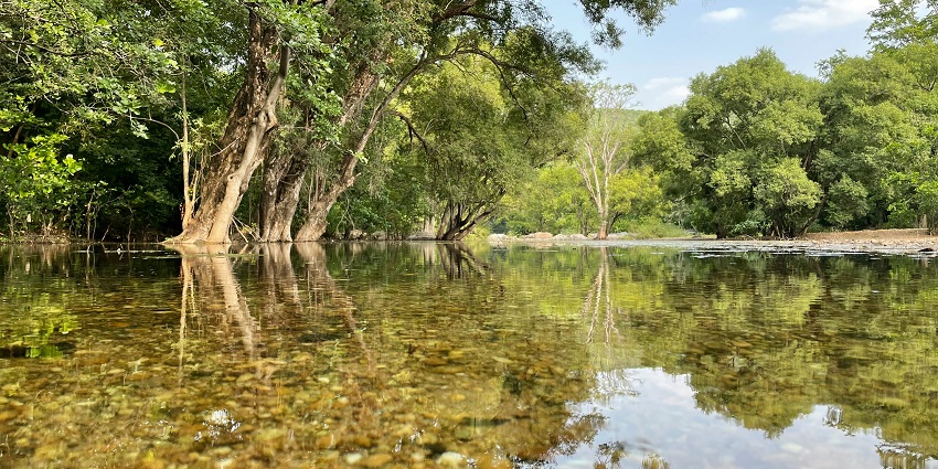 A breathtaking view of a sparkling lake in Idar surrounded by greenery during the day.