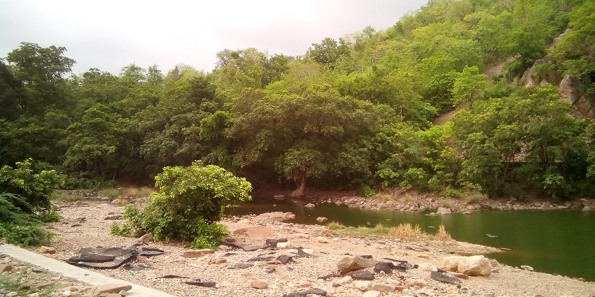 Polo Forest is a densely forested area, perfect for nature lovers and photographers.