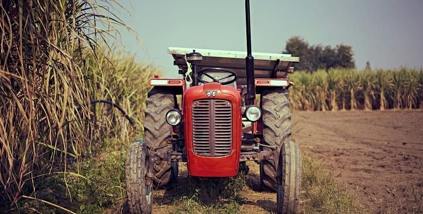 Celebrate pongal with locals which is the harvest festival of Andhra Pradesh on your next trip.