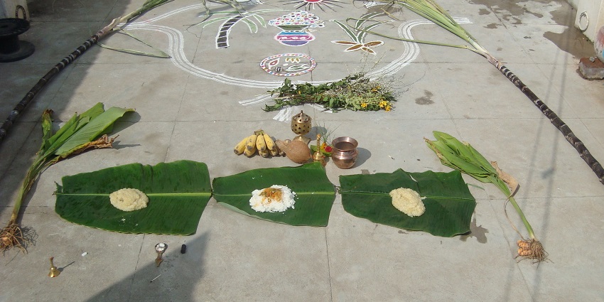 Indulge in the celebration and festivities of Pongal on your trip to Andhra Pradesh.
