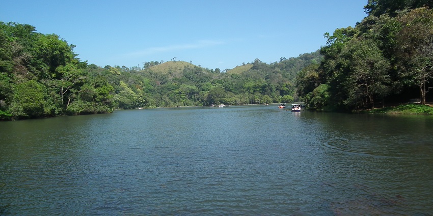 A picture of a lake near the Wayanad Tea Museum, surrounded by greenery and with boats sailing