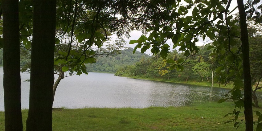A serene view of a calm Poomala lake surrounded by lush green vegetation, framed by trees