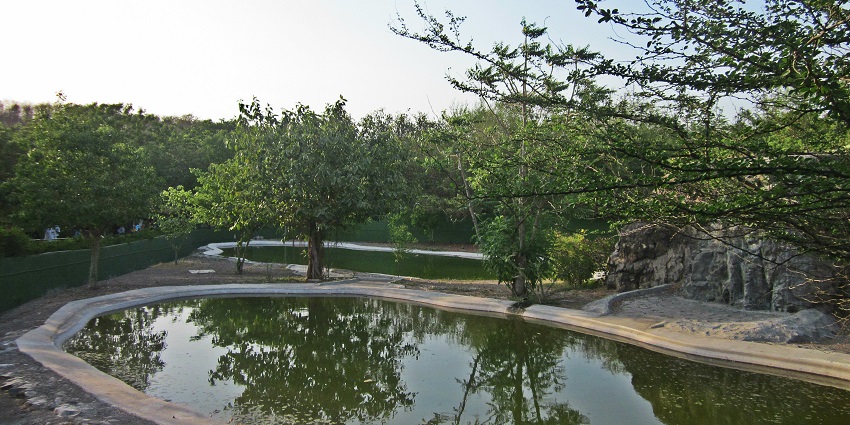 Panoramic views of the Pradyuman Park and its beautiful pond which is an idyllic picnic spot in Rajkot