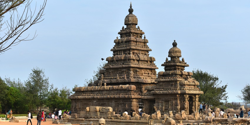 Expansive temple ruins hidden in forest, featuring ancient stone carvings and overgrown pathways.