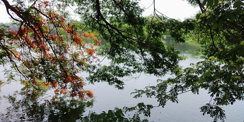 Pravara Sangam is ideal for picnics, unwinding, and enjoying nature for travellers.