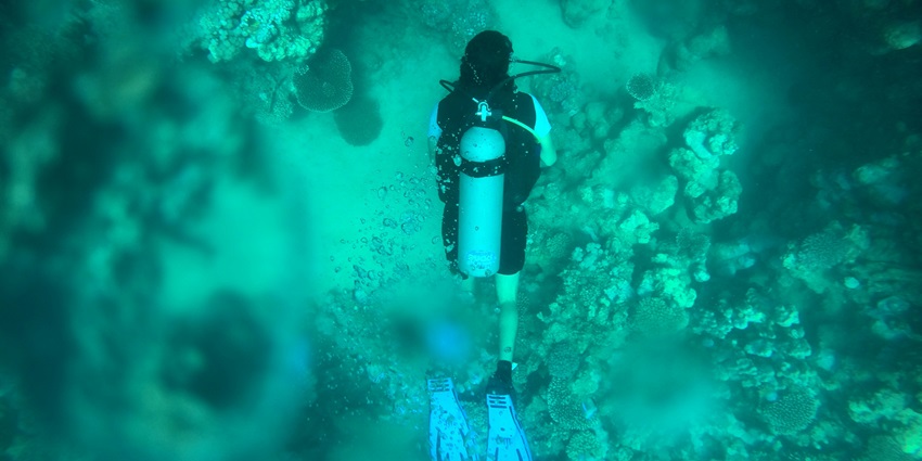 A mesmerising view of a man scuba diving underwater surrounded by varied coral reefs.