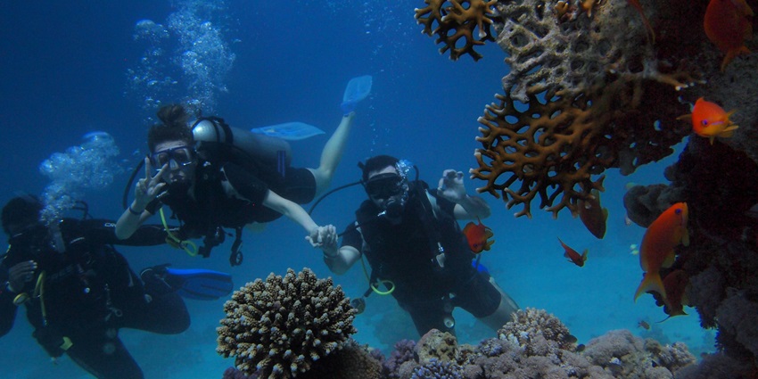 A breathtaking view of three people enjoying scuba diving under water around coral reefs.