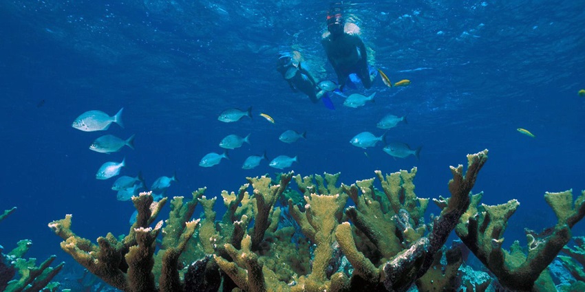 The price for Krabi snorkelling varies from operator to the location of the activity.