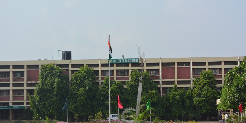 A picture of the entrance of the agriculture museum located at the Punjab Agricultural University