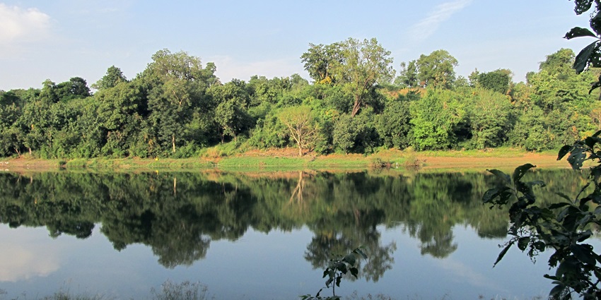 Scenic panoramic image of the beautiful purna river view admit the lush dense forest