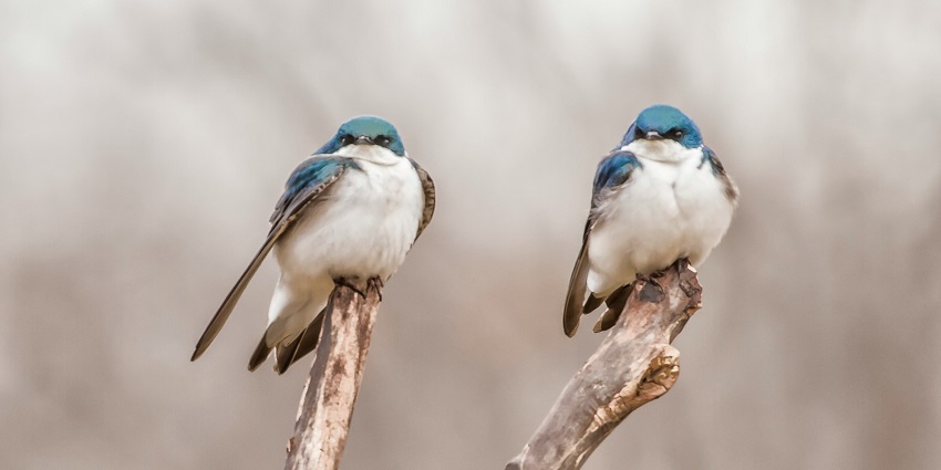 Purna Wildlife Sanctuary is one of the best places to visit for every traveller.