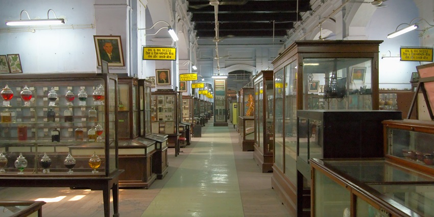 Beautiful snapshot from the archives of History in the Ajmer Museums in Rajasthan