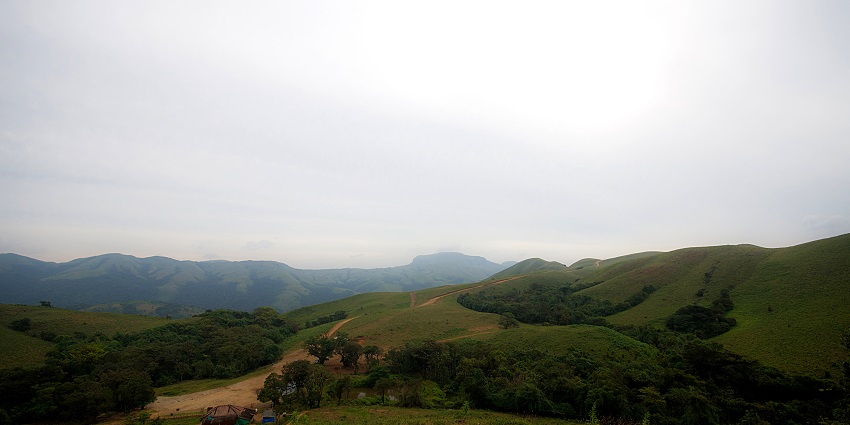 Pushpagiri Wildlife Sanctuary, a favourite amongst wildlife sanctuaries near Bangalore.