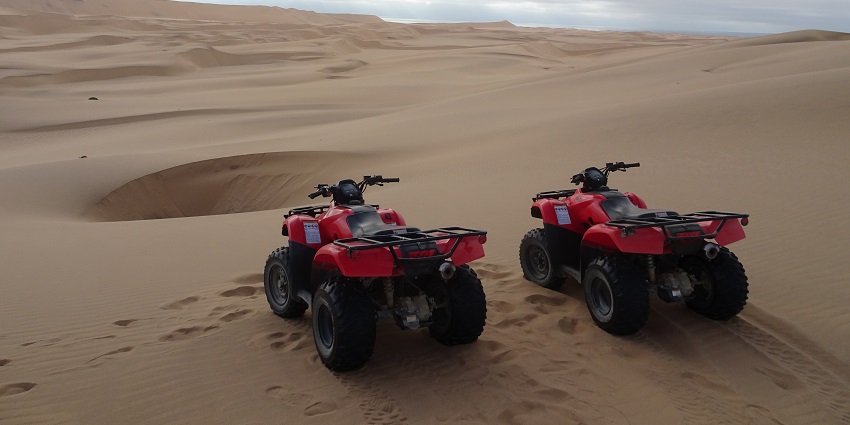 Enjoy a thrilling quad bike ride across golden desert dunes.