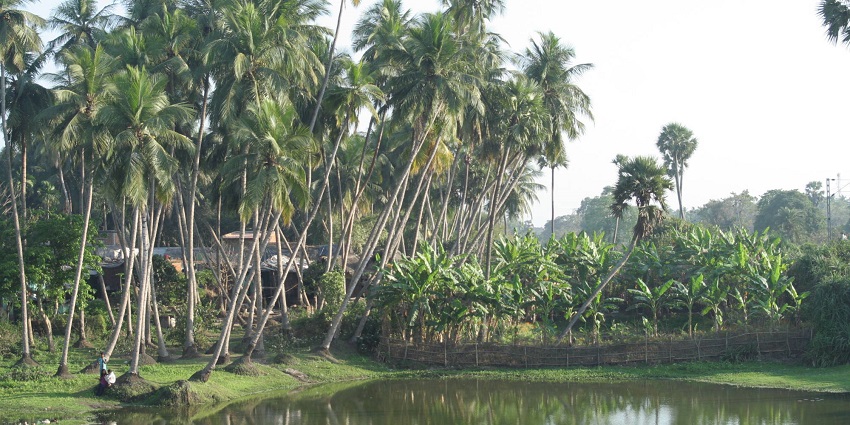 Raghurajpur Village is famous for its arts and rich culture attracting many visitors.