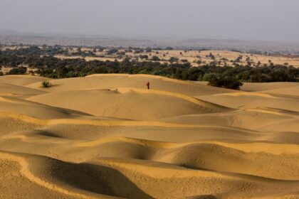 Rajasthan's deserts blend vibrant culture with majestic palaces and forts.