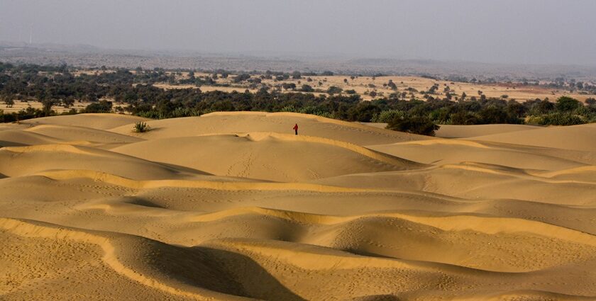 Rajasthan's deserts blend vibrant culture with majestic palaces and forts.