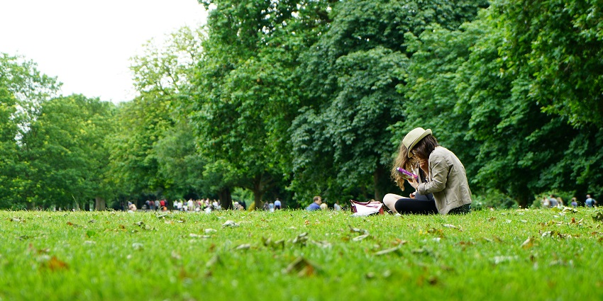 A glimpse of lush green Rajindra Park which is one of the best places to visit in Patiala.