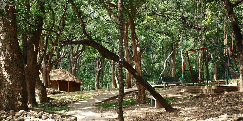 Rajiv Gandhi Park is a well-maintained urban park that is located right around the entrance of Vijayawada.