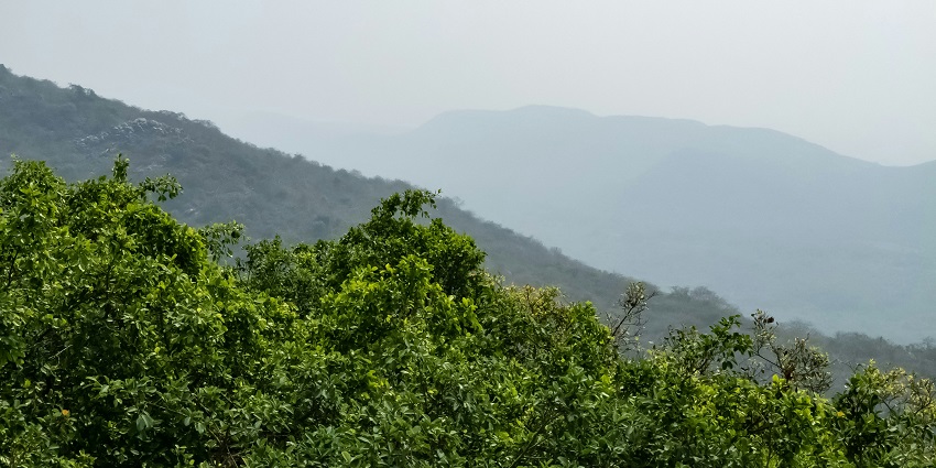 An image of lush green landscapes in Rajgir, one of the hill stations near Patna, Bihar.