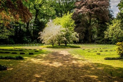 Snap of the beautiful green lush garden surrounded by the idyllic lush trees a perfect picnic spot in Rajkot