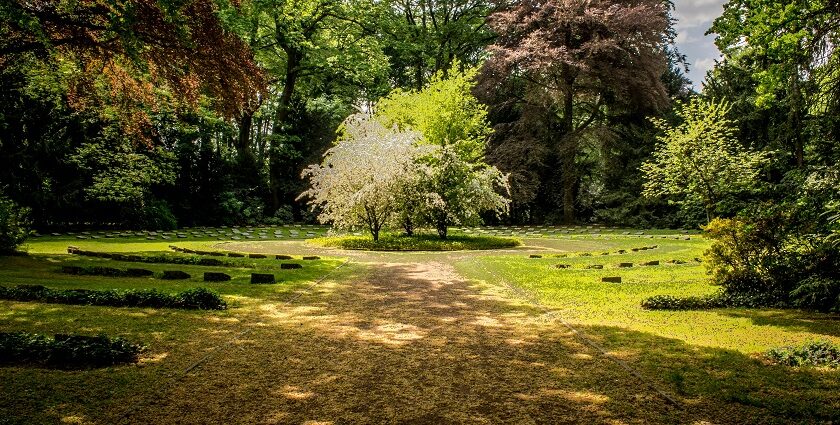 Snap of the beautiful green lush garden surrounded by the idyllic lush trees a perfect picnic spot in Rajkot