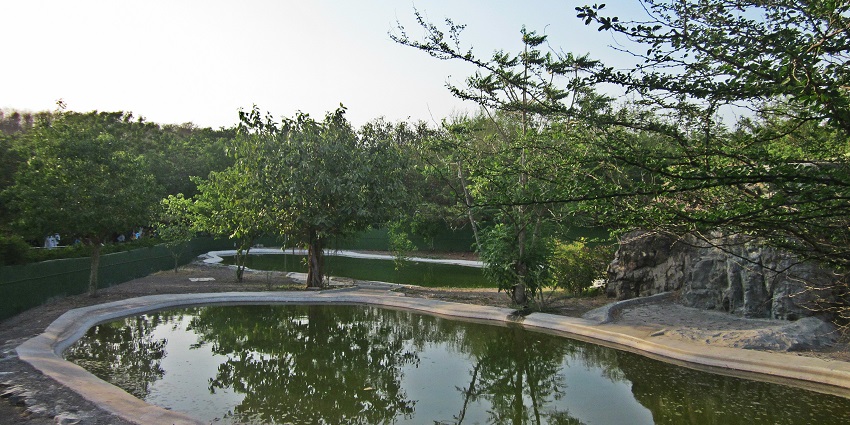 The view from the Rajkot Zoo, with its lakes and diverse collection of wildlife