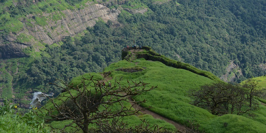 Beautiful image of the Rajmachi hills which is covered by the dense jungle and the rich Fauna