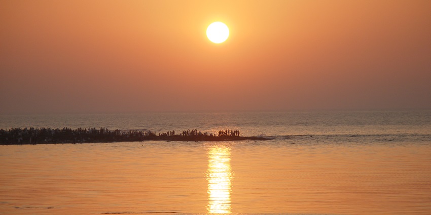 Rajodi Beach near Virar offers relaxation, surfing, and family-friendly activities.
