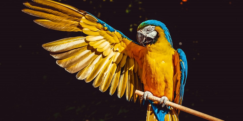 The wildlife sanctuary near Shergarh Fort Baran is a treat for nature and bird lovers.