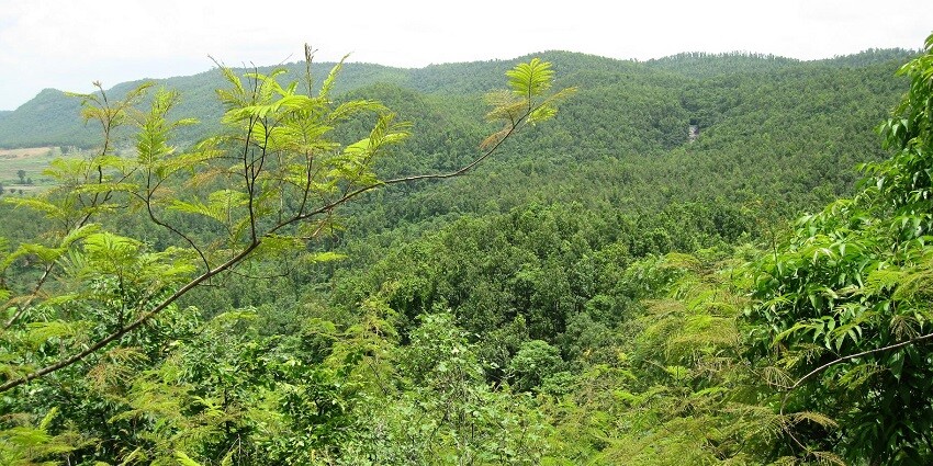 Top view of a hilly area filled with lots of greenery. Same as views from Sitamani Temple.